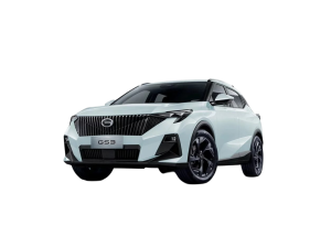 Эва-коврики на Gac Gs3 2024-